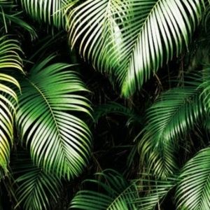 Meet your Posher, Kirsten